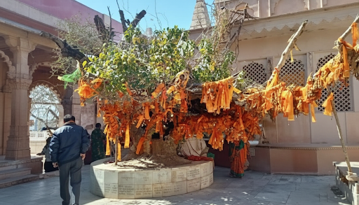 Chaurasi Khamba Mosque 6