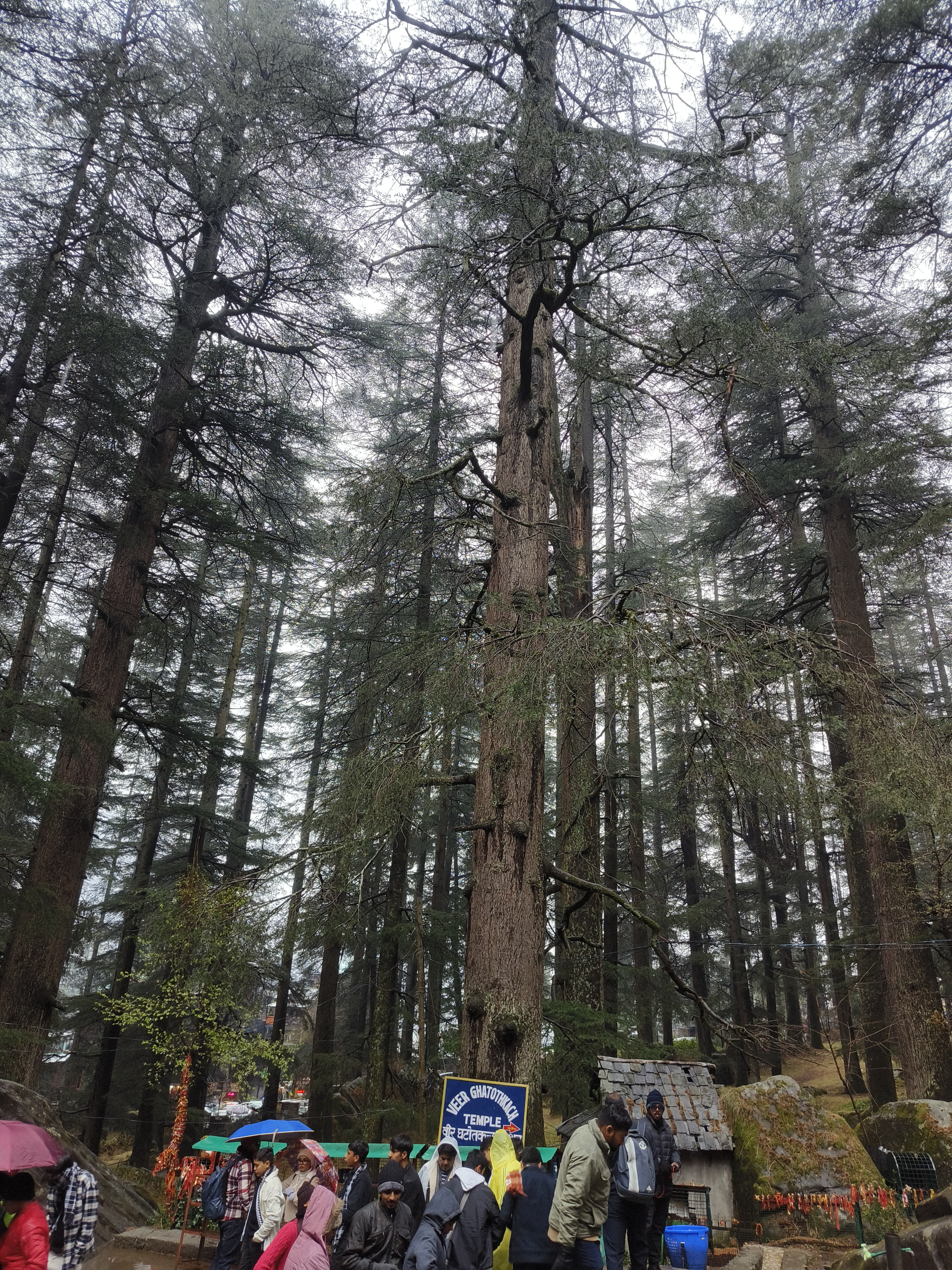 Hidimba Devi Temple 8