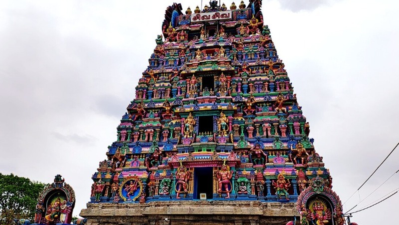 Sri Vadaranyeswarar Temple 11