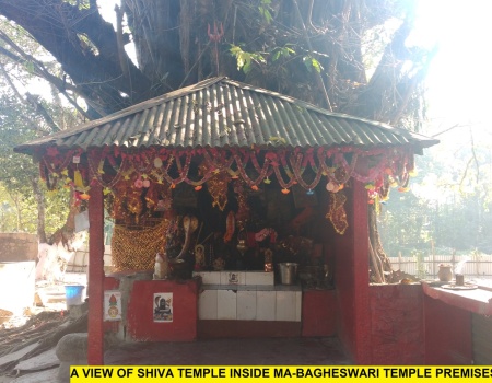 Bagheswari Temple, Bongaigaon