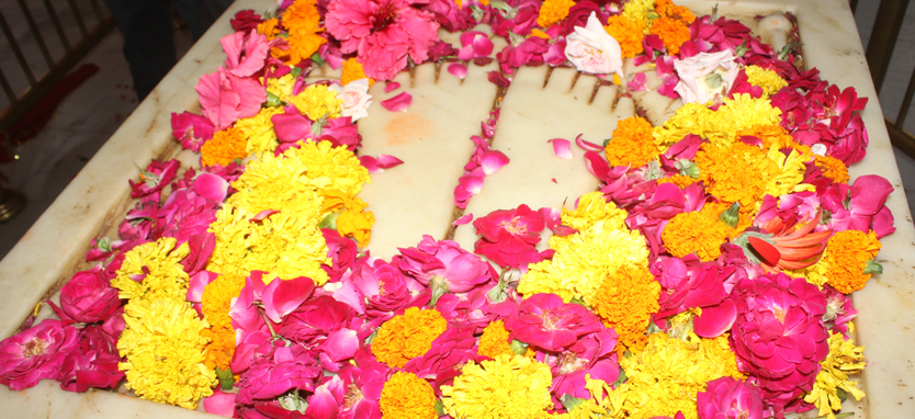 Chintpurni 10
