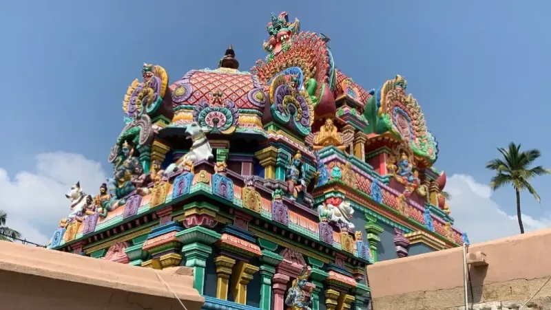 Sri Purushothaman Perumal Temple 4