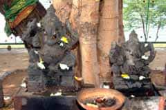 Kangayampalayam Nattari Temple 4