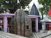 Kol Khandoli 6