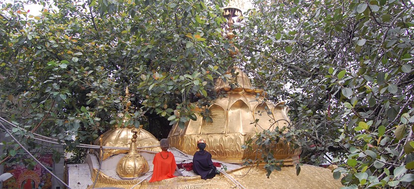 Chintpurni 9