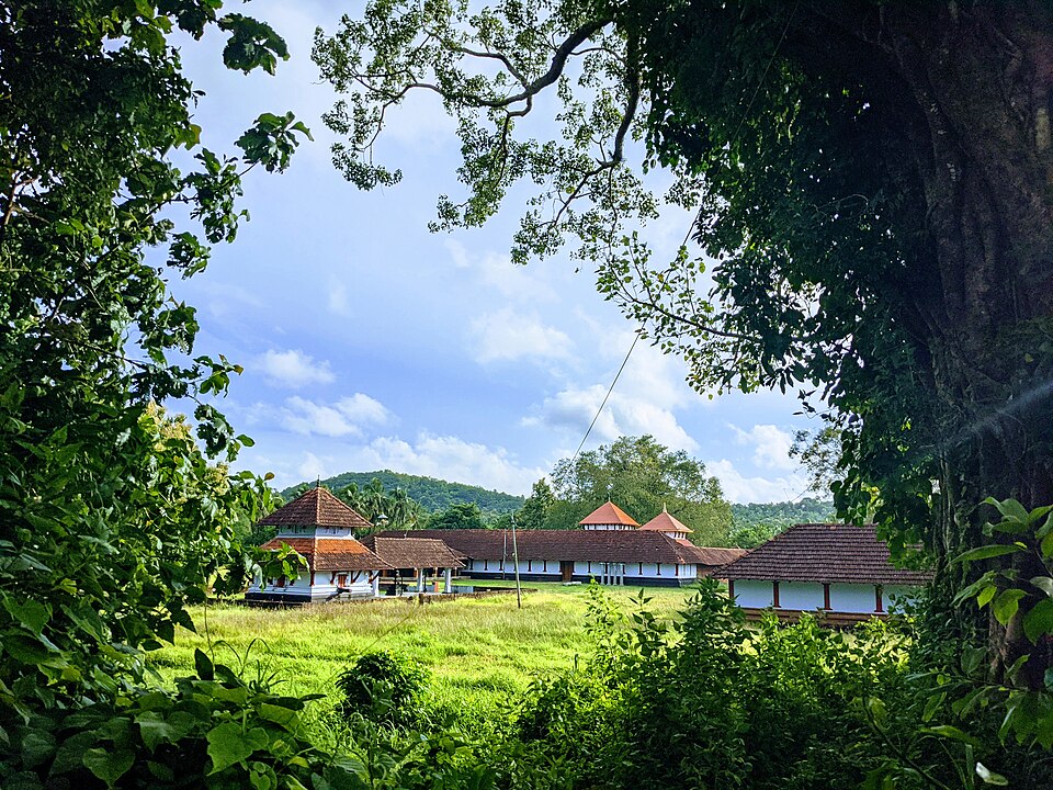 Panniyur Sri Varahamoorthy Temple 4
