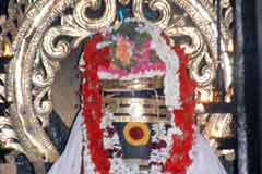 Kovilpatti Sri Shenbahavalli Amman Temple 5