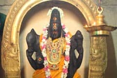 Amirthakadeswarar Temple 8