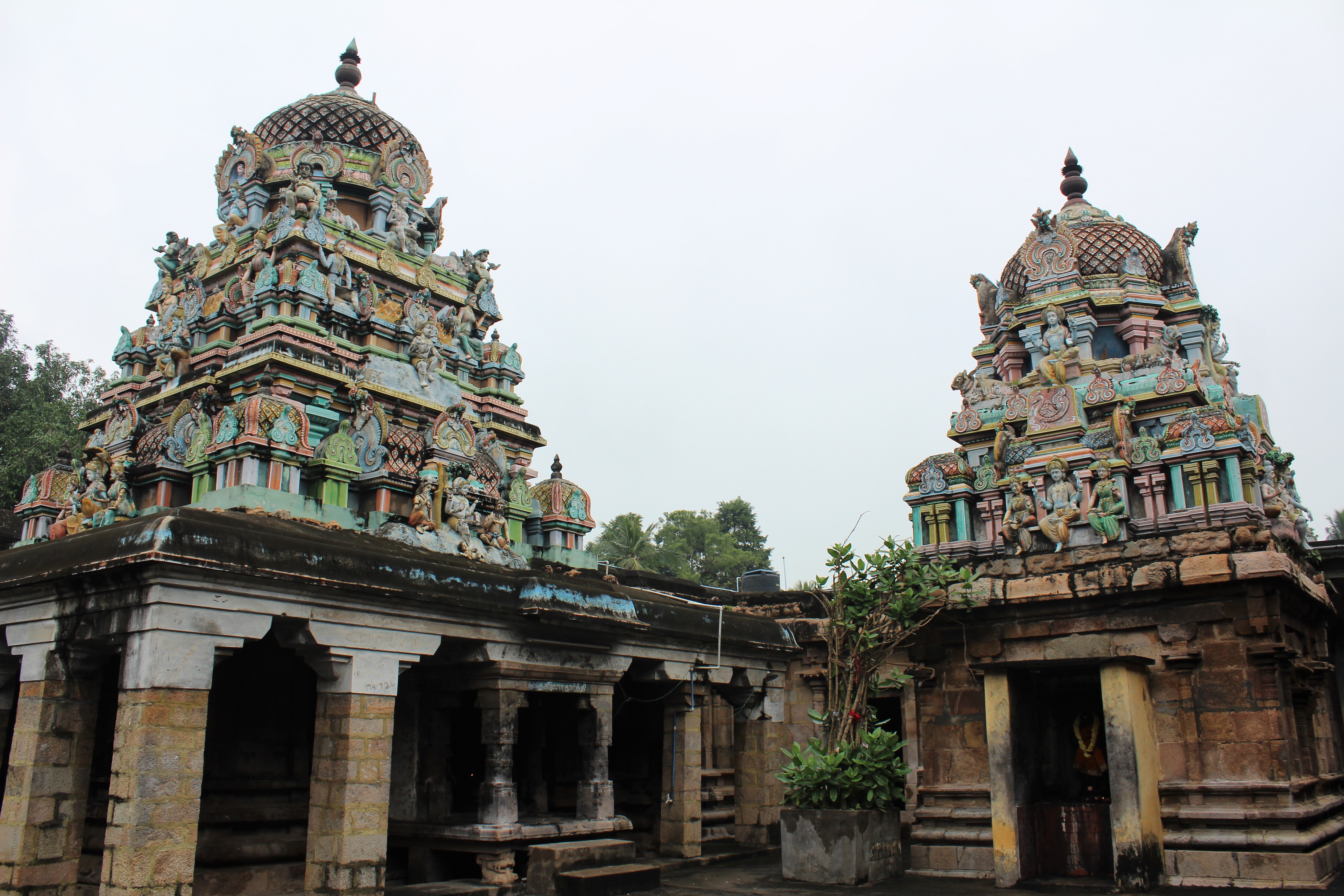 Prananadeswarar Temple 4