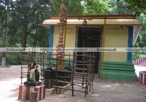 Allinagaram Veerappa Ayyanar Temple Theni 11