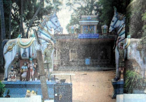 Surakottai Paramanatha Ayyanar Temple 6