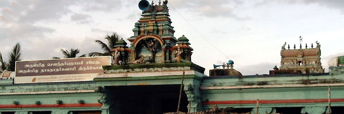 Naganathaswamy Temple