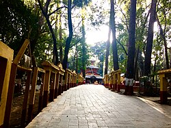 Kalika Bhagawati Temple 5